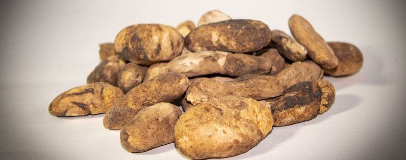Chuno - a freeze dried potato is still a staple of a tradition Peruvian diet